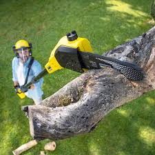 Lawn Maintenance Plans in Green Island, NY